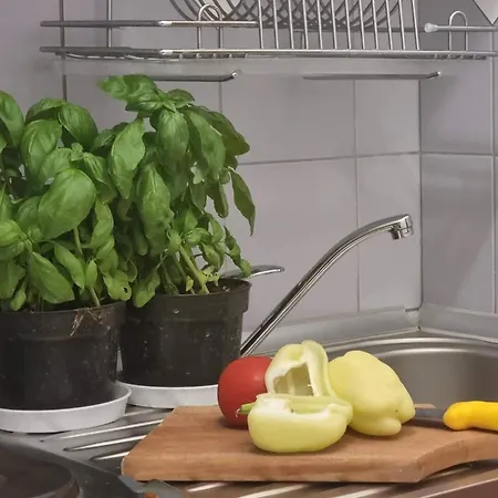 Lejlighed Ankica Ruskamen Lokva Rogoznica